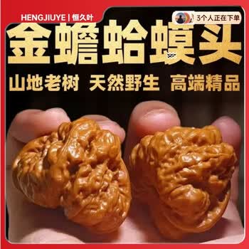 文完核桃金蝉品牌及商品- 京东