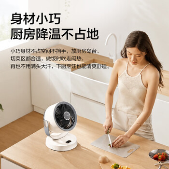艾美特（AIRMATE）【直流变频】暴风低噪空气循环扇桌面电风扇家用台式办公室宿舍可接充电宝涡轮换气扇遥控风扇R126