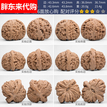 南疆石老树品牌及商品- 京东
