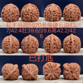 南疆石老树品牌及商品- 京东