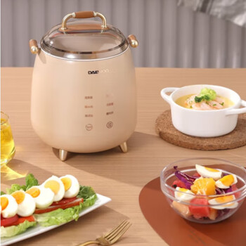 大宇 DAEWOO 隔水炖煮蛋器 家用小型多功能早餐机