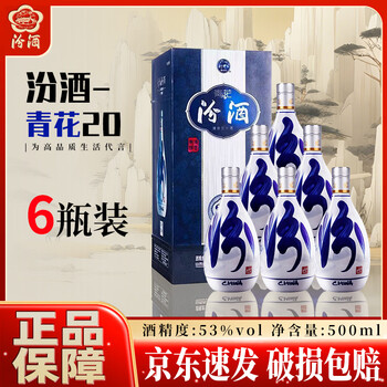 FWNJIU 青花冷酒 500ml 53%　杏花村　2本セット 杏花名酒二十年价格报价行情- 京东