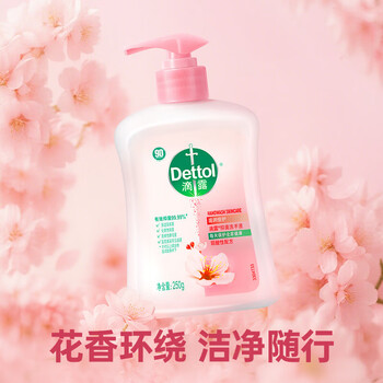 滴露 【热销推荐】抑菌洗手液滋润倍护保湿滋润250g*2+手帕纸1包