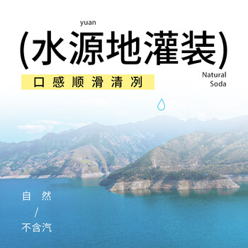 依能天然苏打水 弱碱pH8.0+  360ml*24瓶 塑膜装 无添加饮用天然水