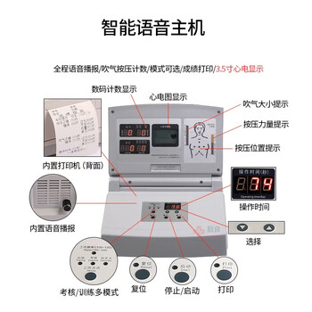 勤良QL/CPR290智能心肺复苏训练模拟人半身箱装CPR人工呼吸急救培训教学模型 气道开放胸外按压心肺复苏训练假人