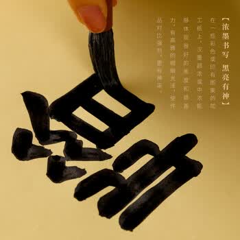 漢墨 漢墨特制进口环保墨汁 毛笔书法国画用树脂胶墨液中浓500g 文房四宝创作练习毛笔墨汁