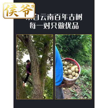 核三丰文玩核桃- 京东