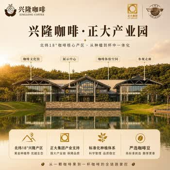 兴隆咖啡太阳河海南特产罗布斯塔咖啡豆手冲焦香浓郁南忘炭烧风味果香浓醇