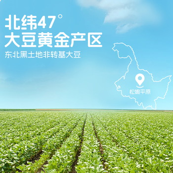 豆三叔低GI高膳食纤维无糖添加纯豆浆粉360g非转基因高蛋白孕妇早餐食品