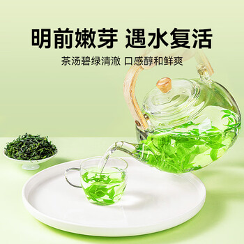 贡苑明前小叶苦丁茶250g 四川峨眉山头采新茶特嫩芽级节日礼盒送长辈