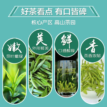茗山生态茶 茶叶 钱塘龙井茶  茗茶 茶叶自己喝 250g双木罐