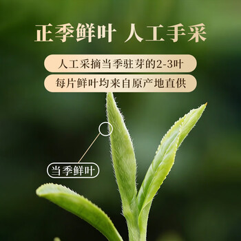 传奇会乌龙茶 安溪铁观音 浓香型特级500g茶叶2026新茶礼盒装父亲节送礼