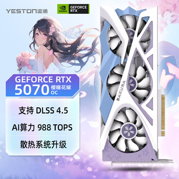yeston盈通- 京东