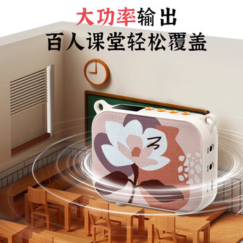 得胜（TAKSTAR）E30W 无线小蜜蜂扩音器教师专用导游喇叭腰挂便携式国风蓝牙小音响喊话器无线讲课麦克风 柔月白
