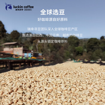 瑞幸咖啡集装箱冻干黑咖啡粉0糖经典拿铁风味速溶2.3g*60颗/盒 适配奶咖