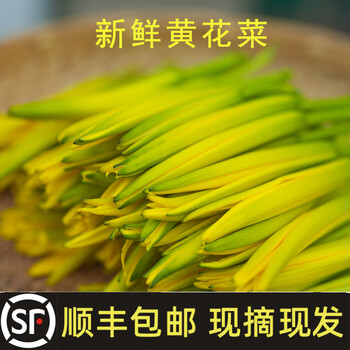 种黄花菜- 京东