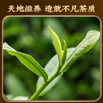茗杰茶叶 武夷山正山小种陈皮红茶 浓香驱寒罐装自己喝送礼礼盒装500g