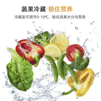 志高（CHIGO） 双门冰箱80升两门迷你宿舍租房小户型家用冷藏冷冻小冰箱 节能低噪 BCD-80A138D 