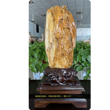 綺麗な化石 天然木 化玉原石 木化玉原石价格报价行情- 京东