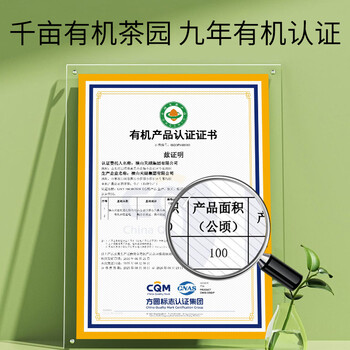日照绿茶2026新茶横山天湖有机茶浓香型板栗香一级125g印象袋装山东特产