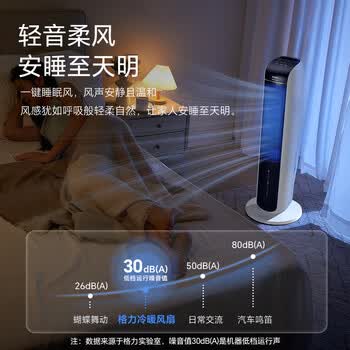 格力（GREE）【冷暖两用】冷风空调扇制冷风扇家用水冷风机电风扇取暖器暖风机负离子加湿加水降温KS-04S68RDg