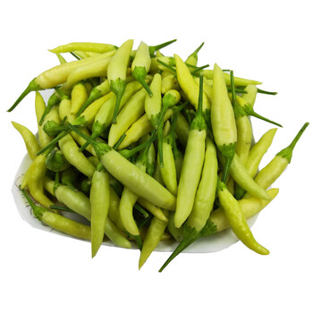 新鲜小米辣 野山椒 白辣椒 白小米 做泡椒 5斤