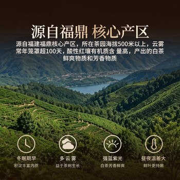 首承白福鼎白茶白毫银针茶叶礼盒装送礼2023年特级老白茶端午父亲节180g
