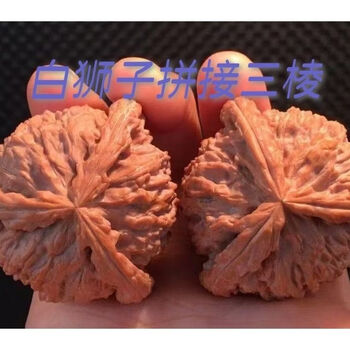 核桃文玩白狮子40图片- 京东