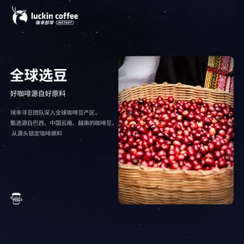 瑞幸咖啡冻干即溶咖啡-加浓混合装 2.3g*2颗/袋