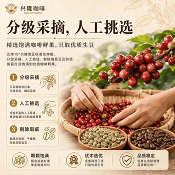 兴隆咖啡太阳河海南特产罗布斯塔咖啡豆手冲焦香浓郁南忘炭烧风味果香浓醇