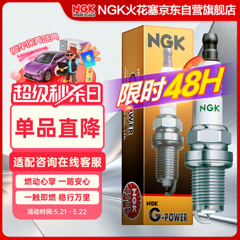 NGK铂金火花塞LFR6CGP四支装风行景逸众泰森林人比亚迪F0F3风光丰田