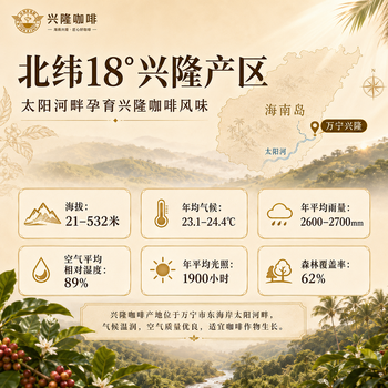 兴隆咖啡太阳河海南特产罗布斯塔咖啡豆手冲焦香浓郁南忘炭烧风味果香浓醇