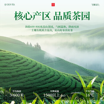 七春2026明前特级 苏州碧螺春 绿茶嫩芽新茶叶端午父亲节礼物200g