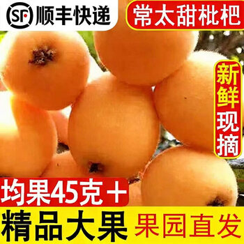 琵琶枇杷图片- 京东