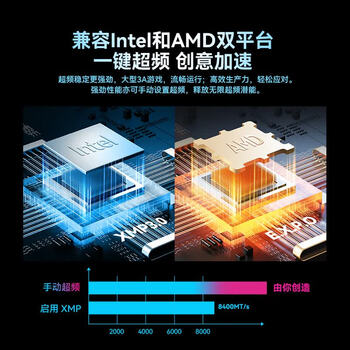 攀升适用于台式机DDR5 32G内存*2+2TB SSD固态硬盘M.2接口