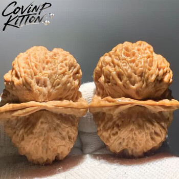 铁蛤蟆核桃文玩型号规格- 京东