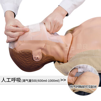 勤良QL/CPR290智能心肺复苏训练模拟人半身箱装CPR人工呼吸急救培训教学模型 气道开放胸外按压心肺复苏训练假人