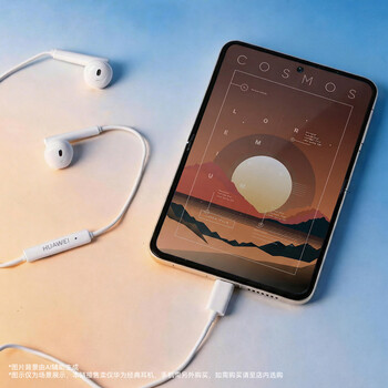 华为（HUAWEI）经典有线耳机  白色 Type-C接口 适用于华为P/Mate系列等手机