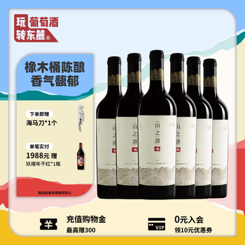 志辉源石葡萄酒- 京东