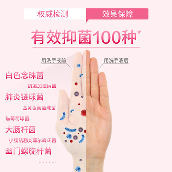 奥妙（OMO）洗衣皂200gx2块肥皂+滴露抑菌洗手液500g+洁婷日夜用卫生巾16片