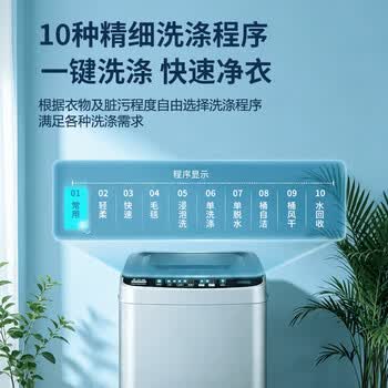 志高（CHIGO） 波轮洗衣机 6.5KG全自动家用租房公寓智能洗脱一体机蓝光洗护 XQB65-818A宝石灰 