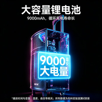 先科户外广场舞拉杆便携音响超大音量大功率移动蓝牙会议音箱k歌12吋重低音演讲带话筒SA-122 X