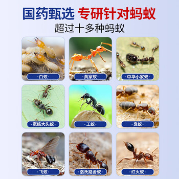 修灭盾呋虫胺蚂蚁药一窝端杀虫剂喷雾防治专用药白蚁药室内厨房孕婴家用