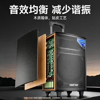 先科户外广场舞拉杆便携音响超大音量大功率移动蓝牙会议音箱k歌12吋重低音演讲带话筒SA-122 X