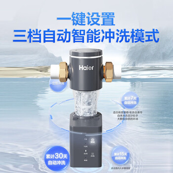 海尔（Haier）前置过滤器超15T大通量家用自来水过滤净水器40微米全自动反冲洗实时水压监测全屋净水HP-45