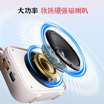 得胜（TAKSTAR）E30W 无线小蜜蜂扩音器教师专用导游喇叭腰挂便携式国风蓝牙小音响喊话器无线讲课麦克风 柔月白
