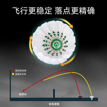 威克多（VICTOR）胜利羽毛球比赛10号12只装 娱乐款鸭毛球