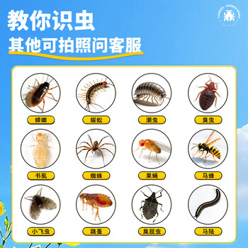 童贝恩驱杀蜈公药卧室灭蜈蚣杀虫剂蝎子杀蜈药克星粉剂家用除蜈蝎专用药