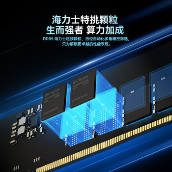 攀升适用于台式机DDR5 32G内存*2+2TB SSD固态硬盘M.2接口