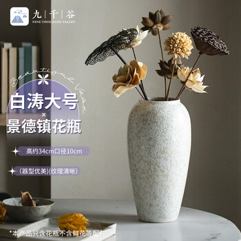 景德镇孔雀花瓶- 京东